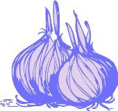 BFQ00016.WMF