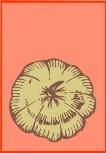 BFQ00006.WMF
