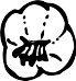 BFQ00001.WMF