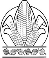 BFN50017.JPG