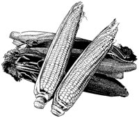 BFN50008.TIF