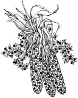 BFN50004.TIF