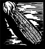 BFN00039.WMF