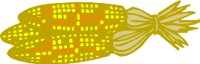 BFN00019.WMF