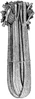 BFM50005.TIF