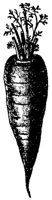 BFL50019.JPG