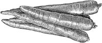 BFL50004.TIF