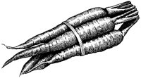 BFL50003.TIF
