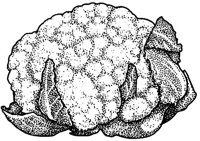 BFJ50015.JPG