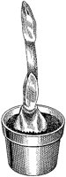 BHY50004.TIF