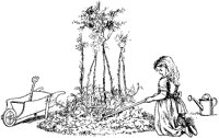 BHW50075.TIF