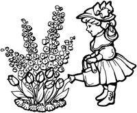 BHW50069.TIF