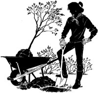 BHW50016.TIF