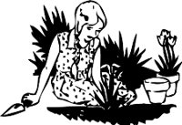 BHW00112.WMF