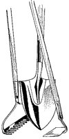 BHP50009.TIF