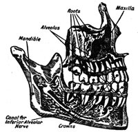 BKO50060.JPG