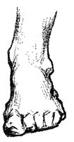 BKO50046.JPG