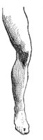 BKO50044.JPG