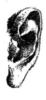 BKO50042.JPG