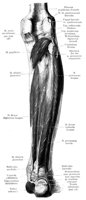 BKO50039.JPG