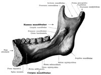BKO50038.JPG