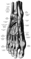 BKO50036.JPG