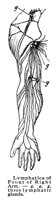 BKO50029.JPG