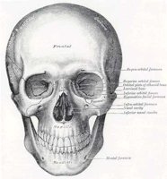BKO50008.JPG