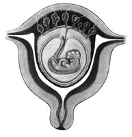 BKN50005.JPG
