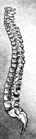 BKL50006.JPG