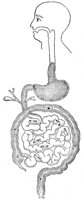 BKG50003.JPG