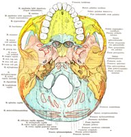 BKE50007.JPG