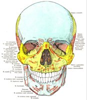 BKE50006.JPG