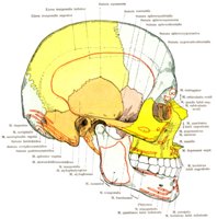 BKE50005.JPG