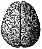 BKE50004.JPG
