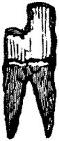 BKV50018.TIF