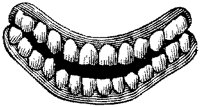 BKV50014.TIF