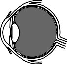 BMJ00002.WMF