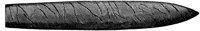BMS50017.TIF