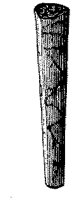 BMS50001.TIF