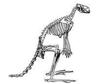 BNN50331.JPG