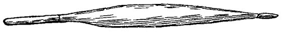 BNN50319.JPG