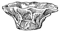 BNN50313.JPG