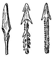 BNN50308.JPG