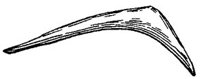 BNN50186.JPG