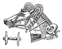 BNM50024.JPG