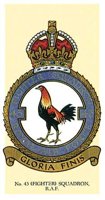 BNJ50112.JPG