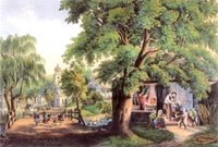 BNP50063.JPG
