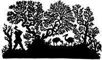 BOG50044.TIF