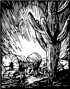 BOG00018.WMF